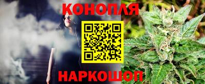 прущие грибы Ипатово