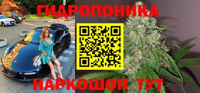 ГАЛЛЮЦИНОГЕННЫЕ ГРИБЫ Заводоуковск